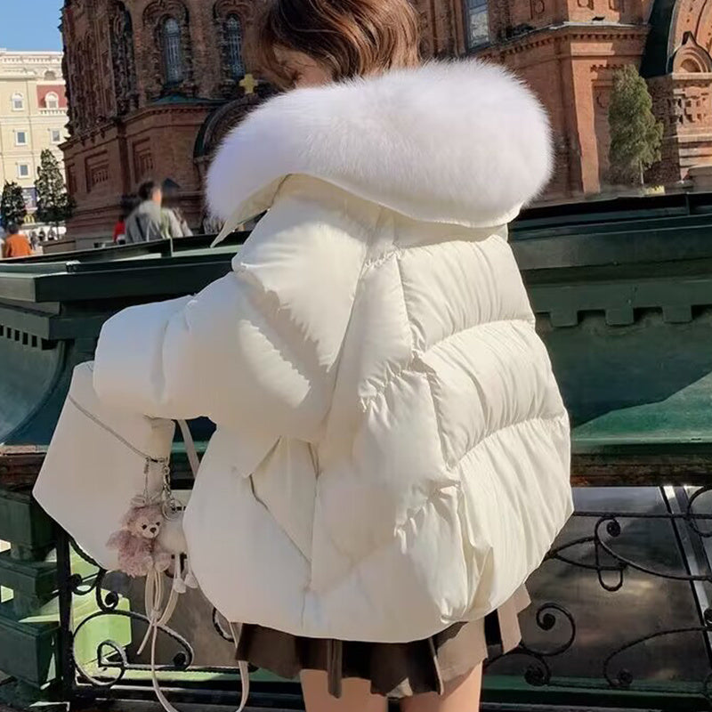 ✨FurCharm™ WinterLuxe Coat❄️